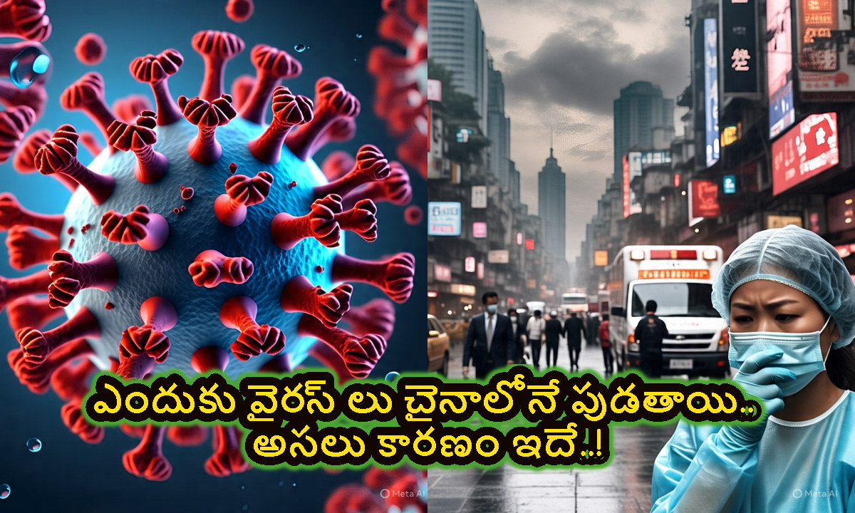 China Virus: చైనాలో కొత్త వైరస్.. వైరస్ లన్నీఇక్కడే ఎందుకు పుడతాయి.. కారణం ఇదే..!
