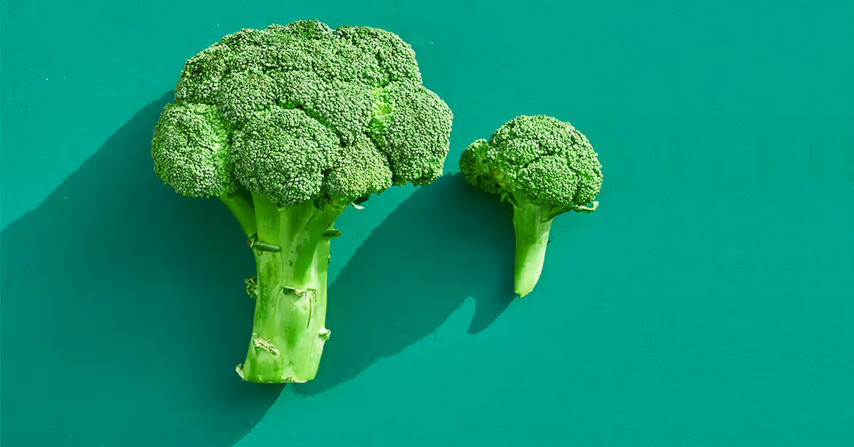 బ్రోకలీ తినడం వల్ల  అద్భుతమైన లాభాలు.. ఇవి తెలిస్తే అస్సలు తినకుండా ఉండలేరు!