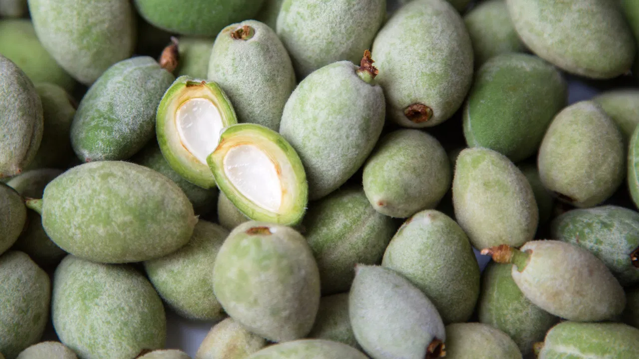 పచ్చి బాదంపప్పు తింటే అద్భుతమైన లాభాలు.. ఎన్నో ఆరోగ్య సమస్యలు సులువుగా దూరమయ్యే ఛాన్స్!