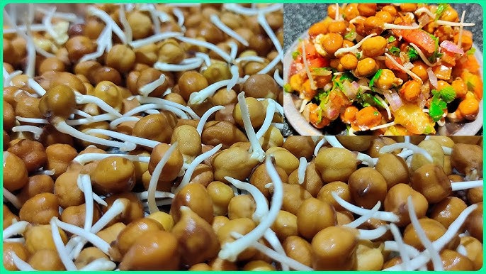 మొలకలు తినడం వల్ల షుగర్ తగ్గుతుందా.. ఇవి తినడం వల్ల ఇన్ని లాభాలున్నాయా?