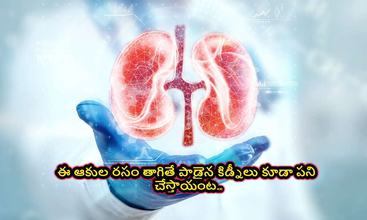 kidney: ఈ ఆకుల రసం తాగితే.. పాడైపోయిన కిడ్నీలు కూడా పని చేస్తాయంట..!