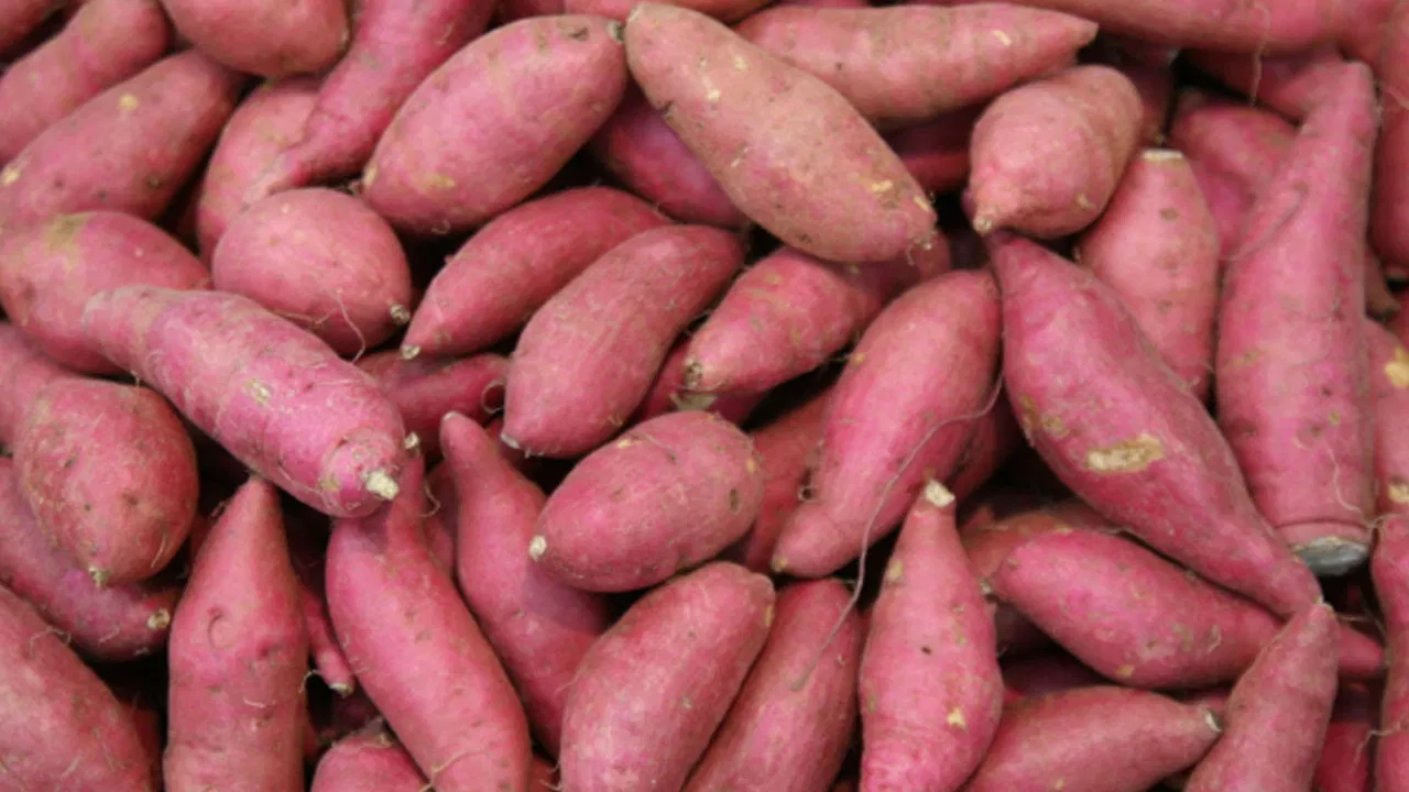 ఈ ఆహారాలు తింటే క్యాన్సర్ వచ్చే అవకాశాలు తగ్గుతాయట.. ఇవి మాత్రం ఎంతో బెస్ట్!