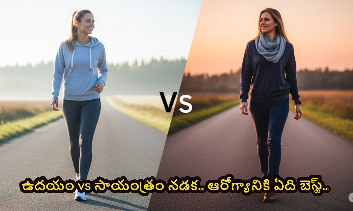 Health Tips: ఉదయం vs సాయంత్రం నడక.. ఆరోగ్యానికి ఏది బెస్ట్.. నిపుణులు ఏం చెబుతున్నారో తెలుసా..?