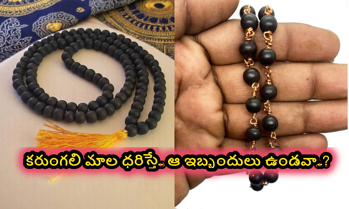 Karungali Malai: కరుంగలి మాల ధరిస్తే.. ఆ ఇబ్బందులు ఉండవా..?