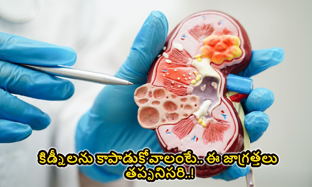 కిడ్నీలను కాపాడుకోవాలంటే.. ఈ జాగ్రత్తలు తప్పనిసరి..!