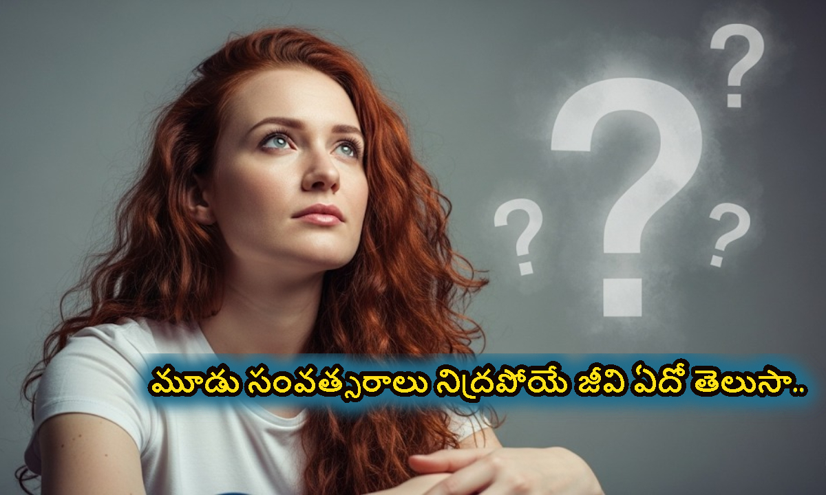 మూడు ఏళ్లు నిద్రపోయే జీవి ఏదో తెలుసా.. దీని పేరు వింటే షాక్ అవుతారు..!