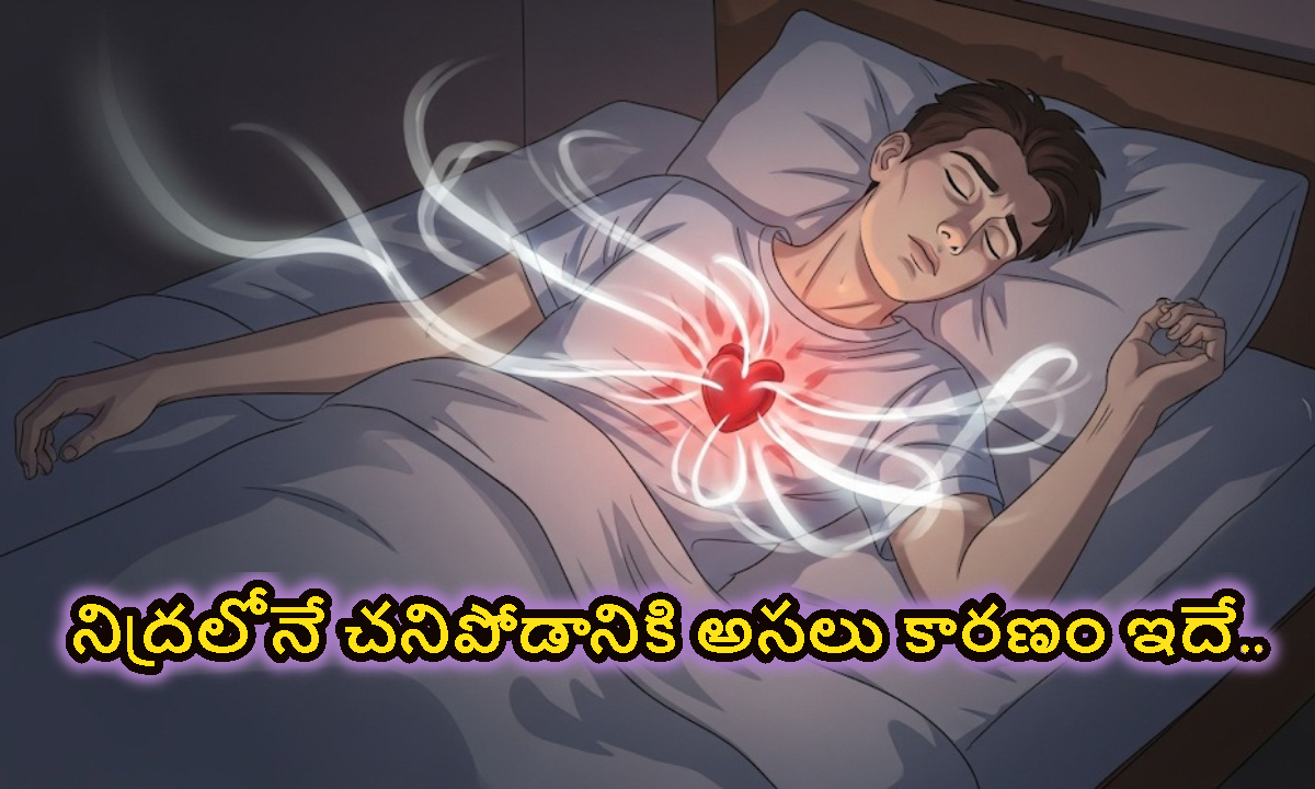 కొంతమంది నిద్రలో ఎందుకు చనిపోతారో తెలుసా.. అసలు కారణం ఇదే..!