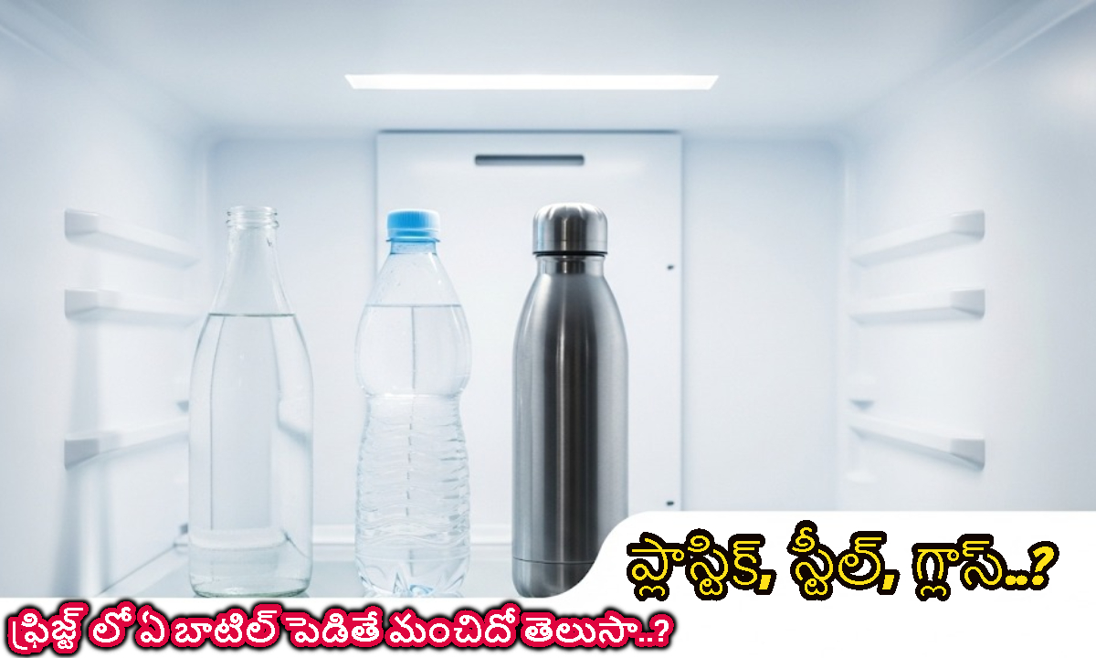 ప్లాస్టిక్, స్టీల్, గ్లాస్.. ఫ్రిజ్ట్ లో ఏ బాటిల్ పెడితే మంచిదో తెలుసా..?