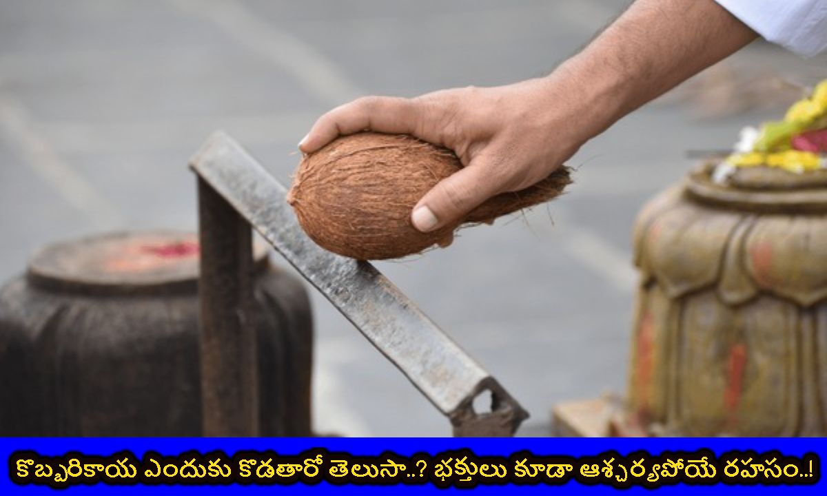పూజా సమయంలో కొబ్బరికాయ ఎందుకు కొడతారో తెలుసా.. అసలు రహస్యం ఇదే..!