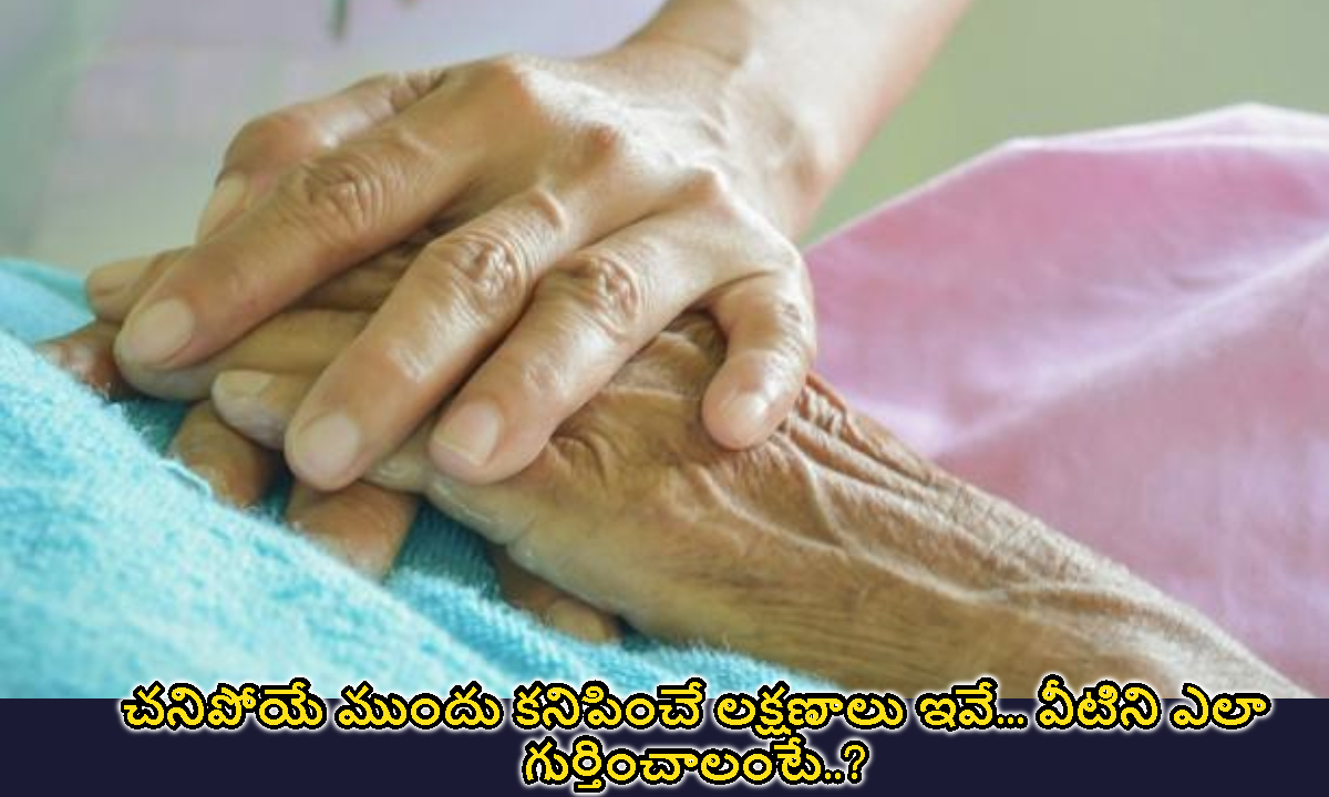 చనిపోయే ముందు కనిపించే లక్షణాలు ఇవే… వీటిని ఎలా గుర్తించాలంటే..?