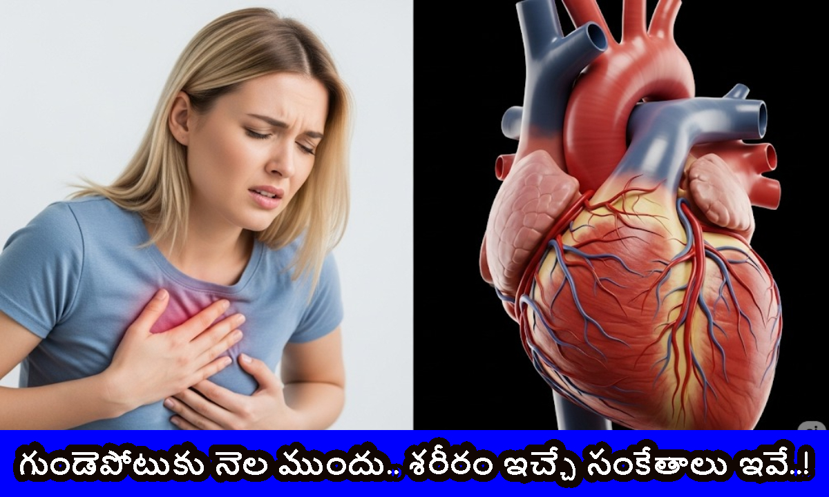 గుండెపోటుకు నెల ముందు.. శరీరం ఇచ్చే సంకేతాలు ఇవే..!