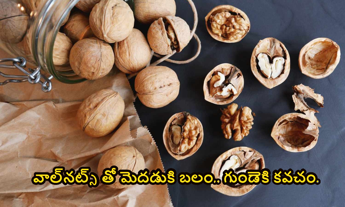 Walnuts: వాల్‌నట్స్‌ తో మెదడుకి బలం.. గుండెకి కవచం.. దీనిని ఎలా తినాలంటే..!