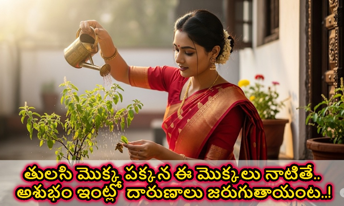 తులసి మొక్క పక్కన ఈ మొక్కలు నాటితే.. అశుభం ఇంట్లో దారుణాలు జరుగుతాయంట..!