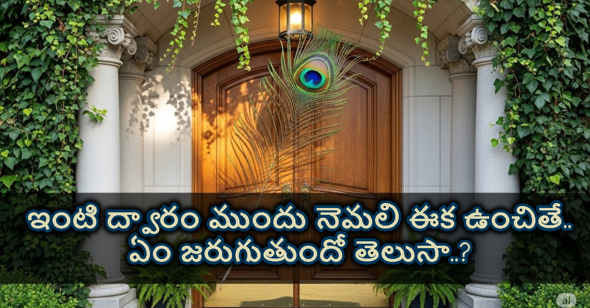 Vastu Tips: ఇంటి ద్వారం ముందు నెమలి ఈక ఉంచితే.. ఏం జరుగుతుందో తెలుసా..?