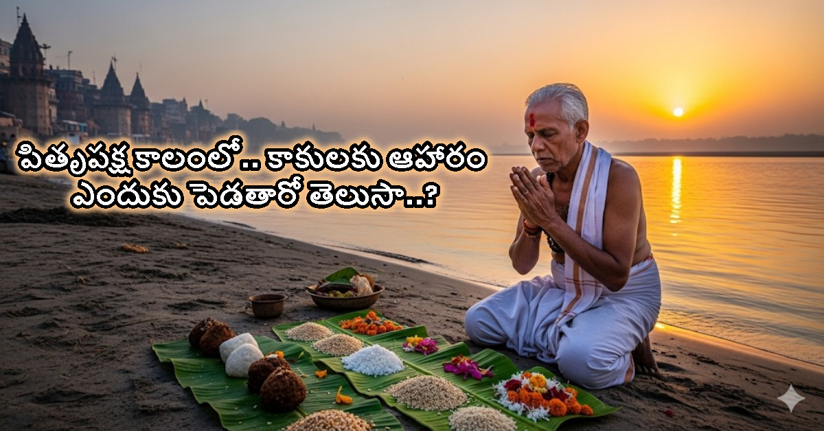 పితృపక్షంలో కాకులకు ఆహారం పెడితే.. పూర్వీకులు సంతోషిస్తారన్న నమ్మకం వెనక రహస్యం ఏమిటి..?