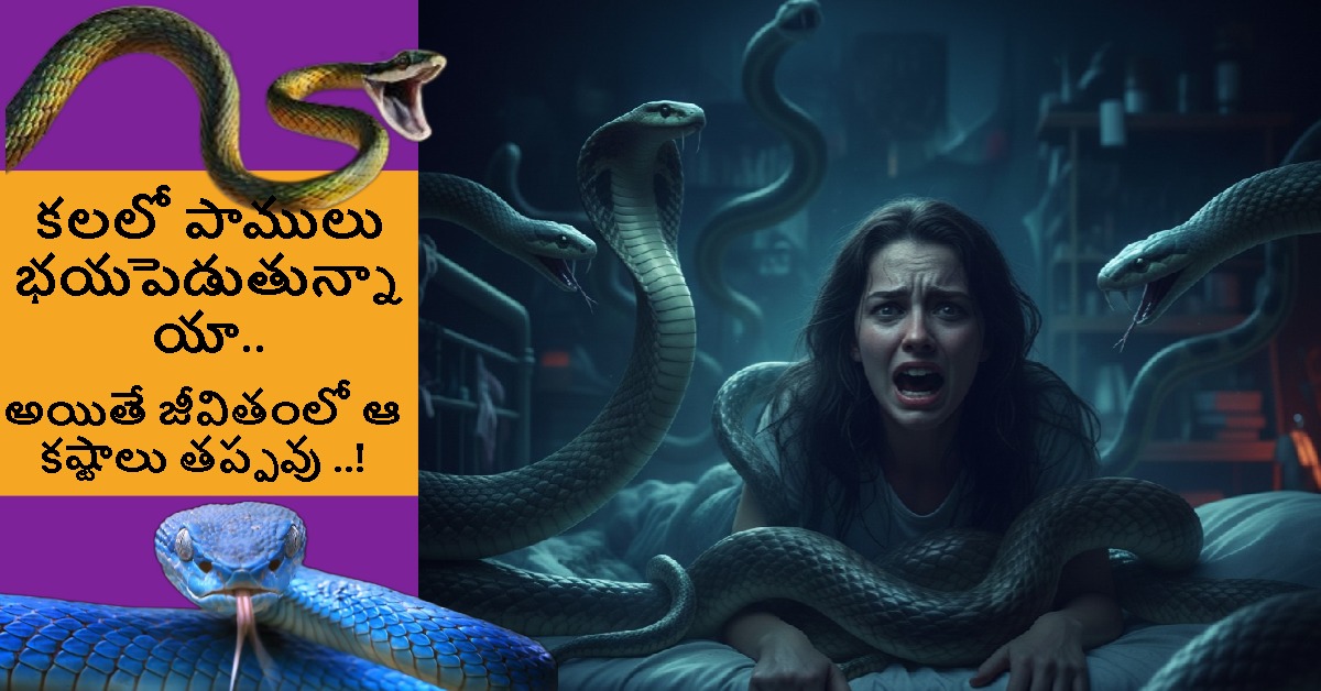 కలలో పాములు ఇలా భయపెడుతున్నాయా.. అయితే మీ జీవితంలో ఆ కష్టాలు తప్పవు ..!