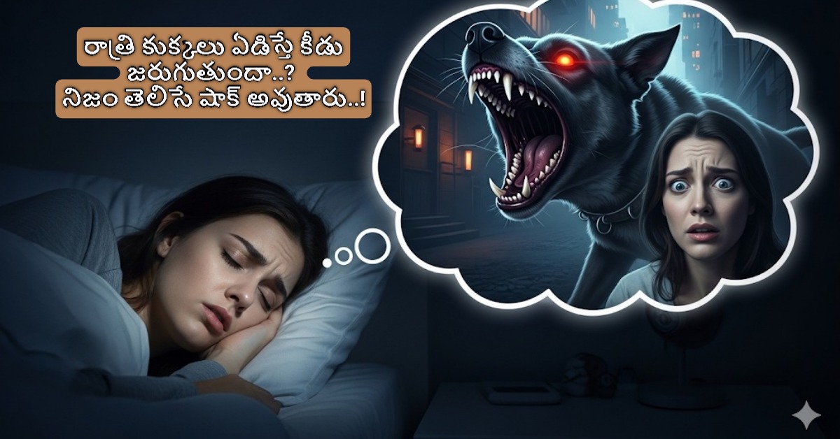 Dogs Crying: రాత్రి కుక్కలు ఏడిస్తే కీడు జరుగుతుందా..? నిజం తెలిసే షాక్ అవుతారు..!