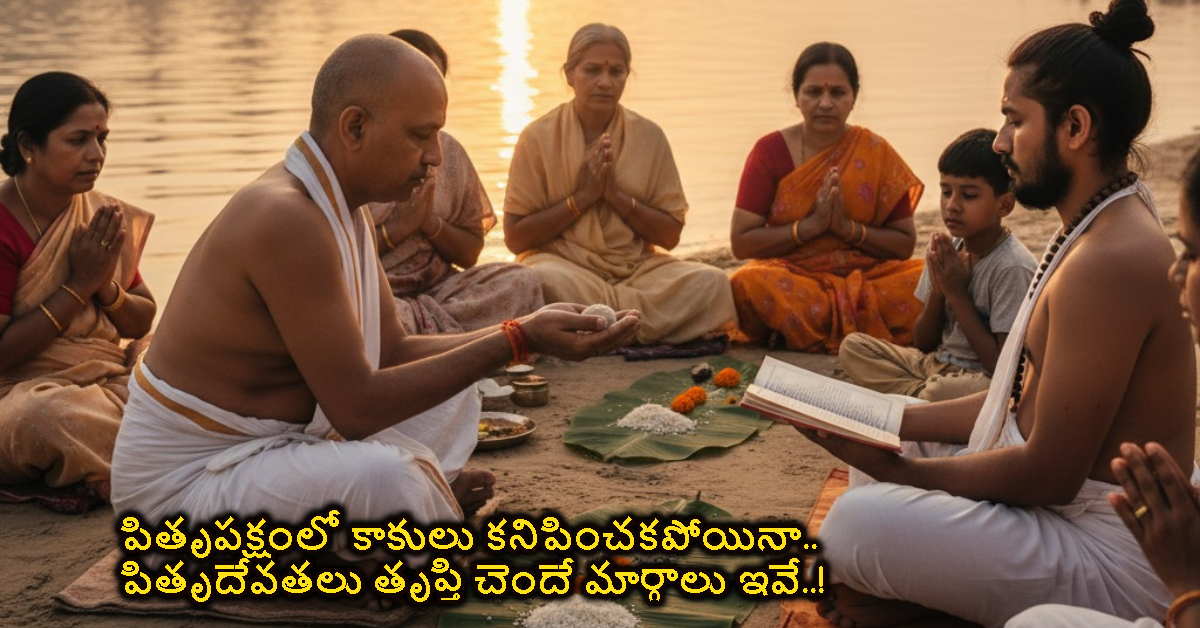 పితృపక్షంలో కాకులు కనిపించకపోయినా.. పితృదేవతలు తృప్తి చెందే మార్గాలు ఇవే..!