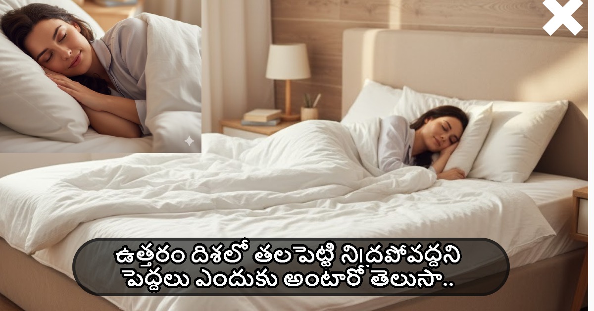 ఉత్తరం దిశలో తలపెట్టి నిద్రపోవద్దని పెద్దలు ఎందుకు అంటారో తెలుసా.. సైన్స్ ఏమంటోందంటే..?