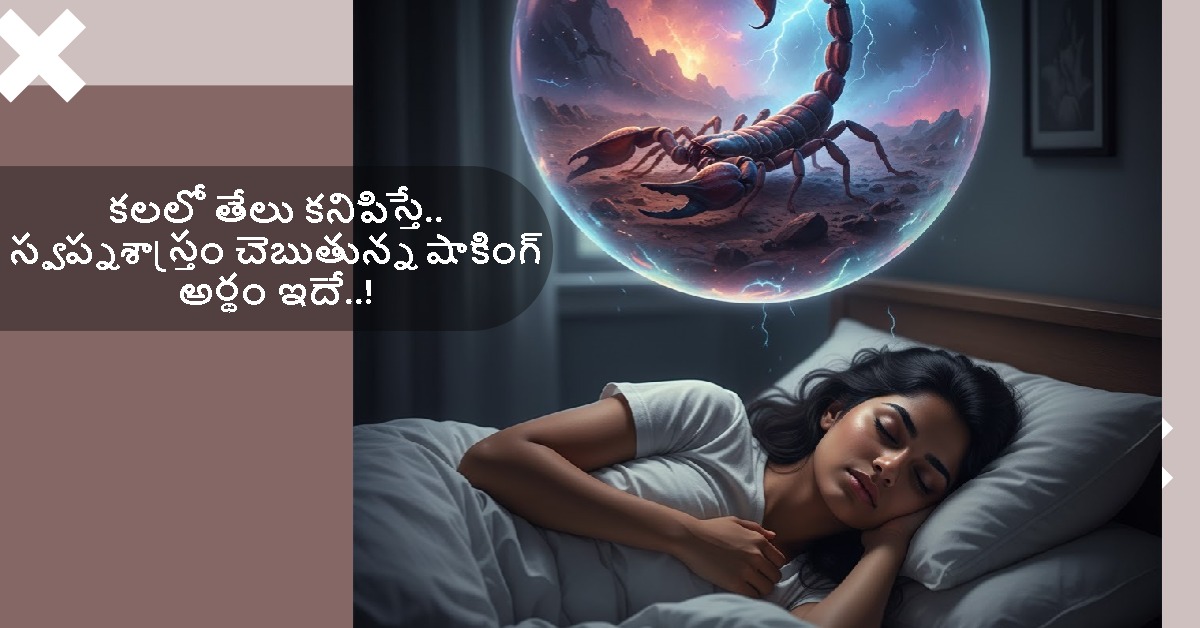 Dream: కలలో తేలు కనిపిస్తే.. స్వప్నశాస్త్రం చెబుతున్న షాకింగ్ అర్థం ఇదే..!