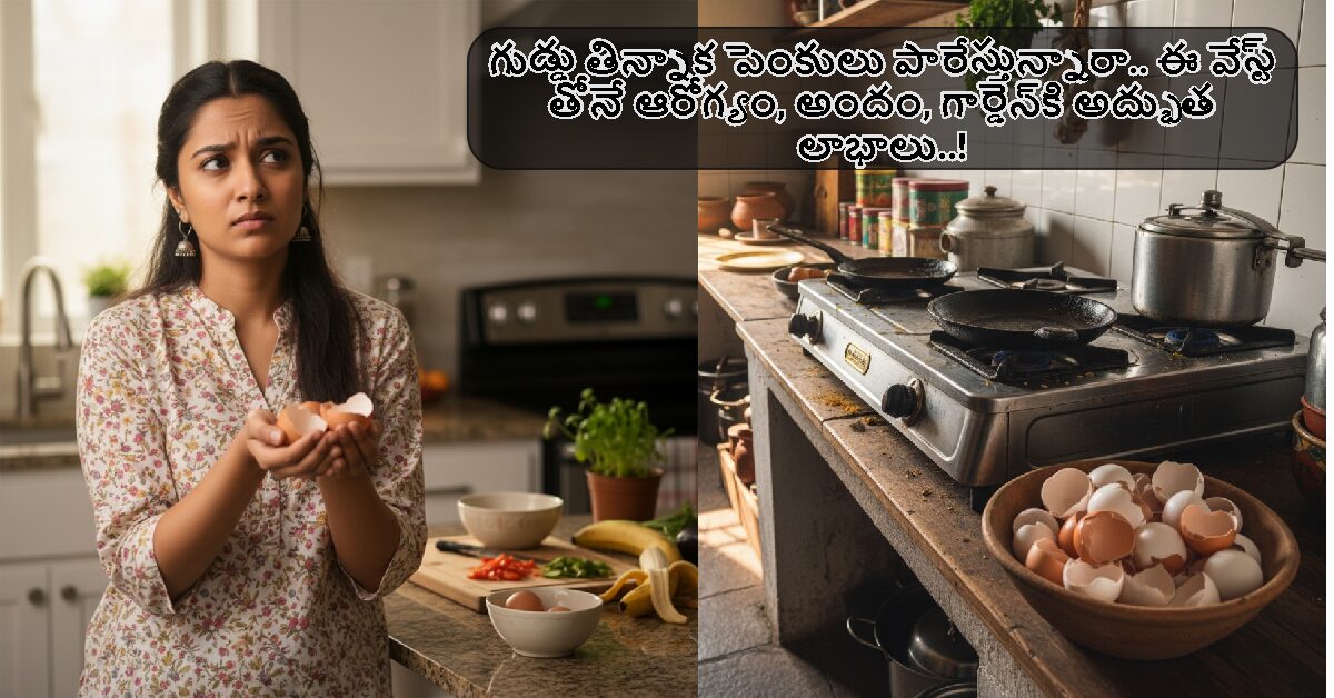 Egg Shell: గుడ్డు తిన్నాక పెంకులు పారేస్తున్నారా.. ఈ వేస్ట్ తోనే ఆరోగ్యం, అందం, గార్డెన్‌కి అద్భుత లాభాలు..!