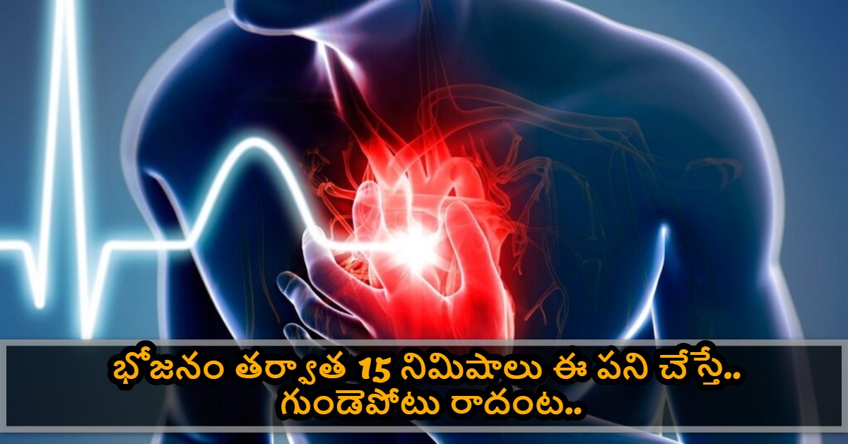 భోజనం తర్వాత 15 నిమిషాలు ఈ పని చేస్తే.. గుండెపోటు వచ్చే ఛాన్స్ 40% తగ్గుతుందట.. డాక్టర్లు చెబుతున్న సీక్రెట్ ఇదే..!