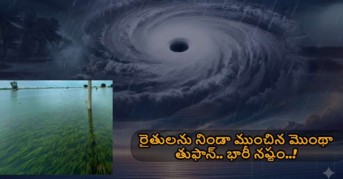Montha Cyclone: రైతులను నిండా ముంచిన మొంథా తుఫాన్.. నీట మునిగిన వరి పొలాలు..!
