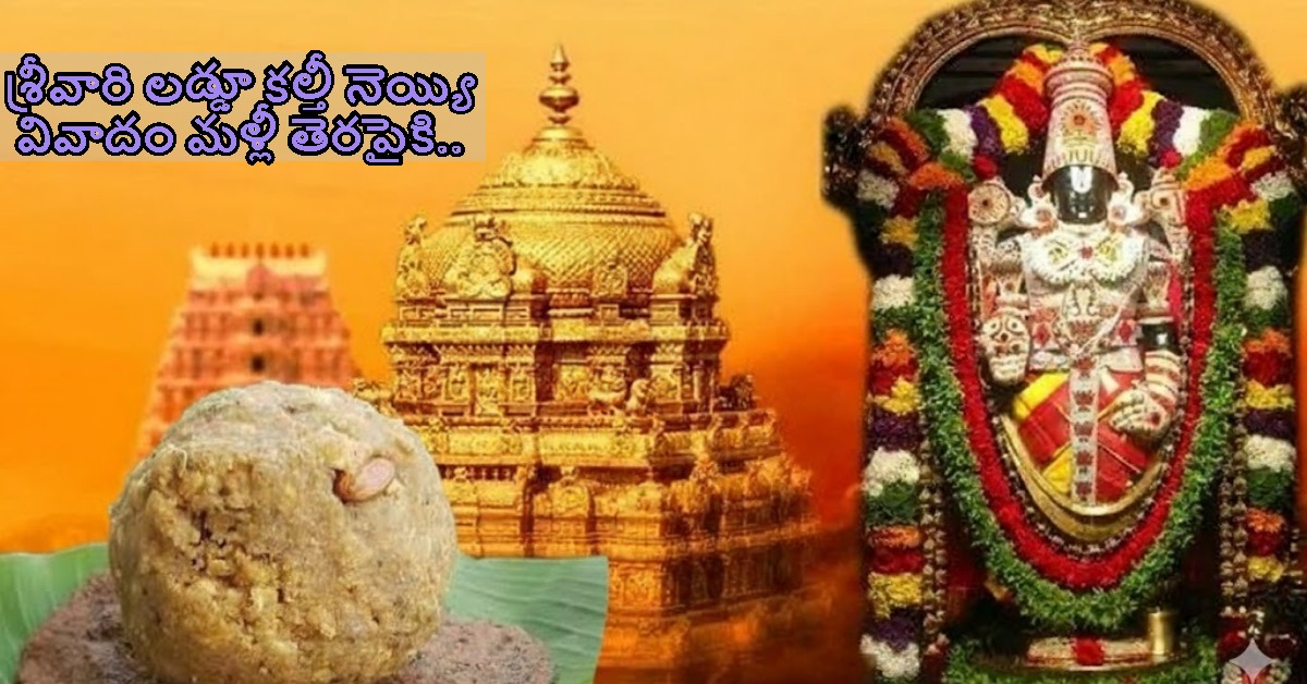 శ్రీవారి లడ్డూ కల్తీ నెయ్యి వివాదం మళ్లీ తెరపైకి.. కీలక నేత పీఏ అరెస్ట్‌తో కొత్త మలుపు..!