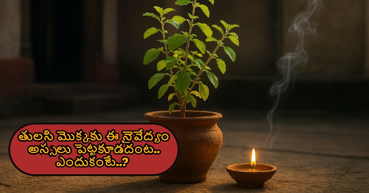 Tulsi : తులసి మొక్కకు ఈ నైవేద్యం అస్సలు పెట్టకూడదంట.. ఎందుకంటే..?