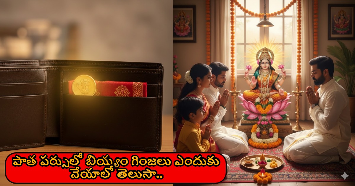 పాత పర్సులో బియ్యం గింజలు ఎందుకు వేయాలో తెలుసా.. వాస్తు శాస్త్రం చెప్పే నిజాలు ఇవే..!