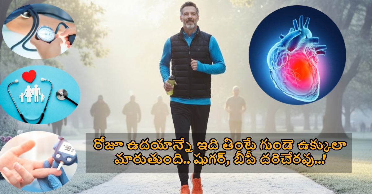 Health: రోజూ ఉదయాన్నే ఇది తింటే గుండె ఉక్కులా మారుతుంది.. షుగర్, బీపీ దరిచేరవు..!