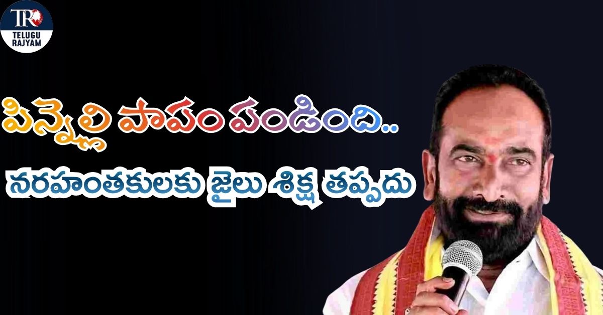 Julakanti Brahmananda Reddy: పిన్నెల్లి పాపం పండింది.. నరహంతకులకు జైలు శిక్ష తప్పదు: ఎమ్మెల్యే జూలకంటి ధ్వజం